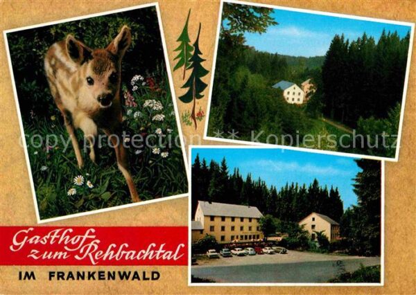 Grafengehaig Gasthof zum Rehbachtal Frankenwald Rehk