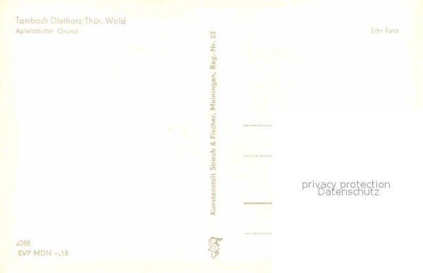 Dietharz Tambach Apfelstädter Grund – Bild 2