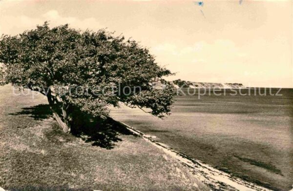 Insel Ruegen Strand