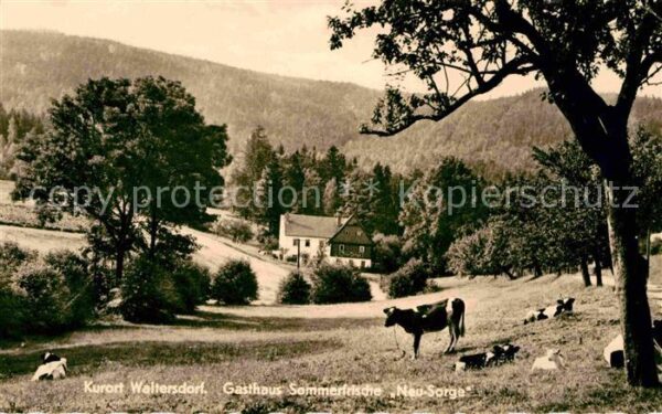 Waltersdorf Zittau Gasthaus Sommerfrische Neu-Sorge