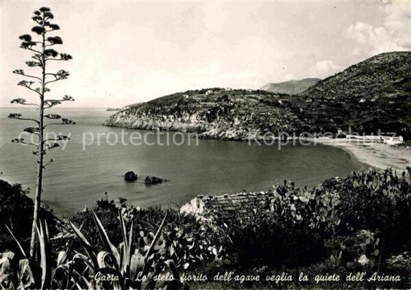 Gaeta