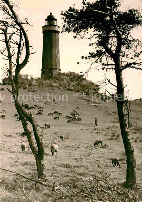 Insel Hiddensee Leuchtturm Dornbusch