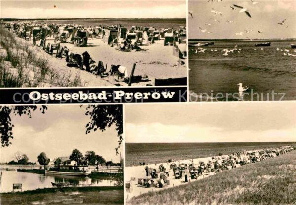 Prerow Ostseebad Strand Möven Hafen