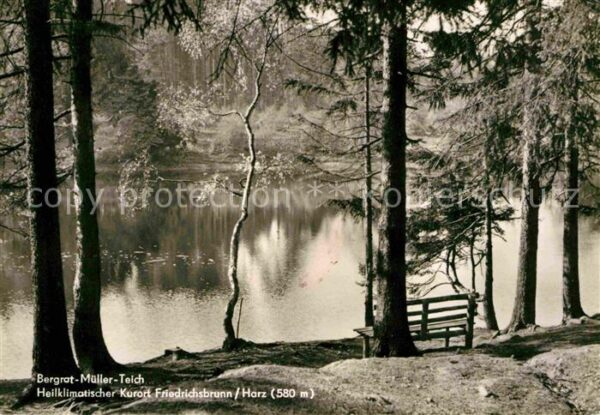 Friedrichsbrunn Harz Bergrat-Müller-Teich
