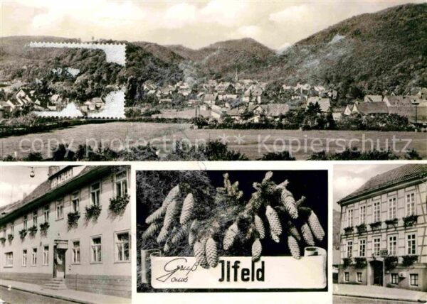 Ilfeld Suedharz Gaststätte zur Krone Linde