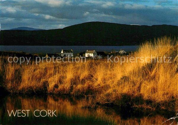 Cork