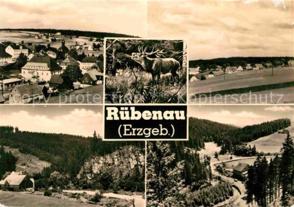 Ruebenau