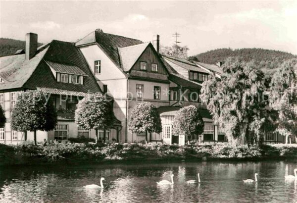 Ilsenburg Harz Forellenteich