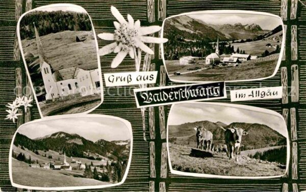 Balderschwang Kirche Panorama Kühe Edelweiß