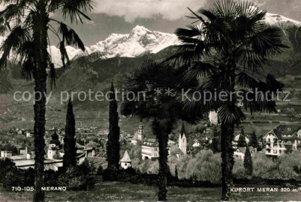 Meran Merano Panorama