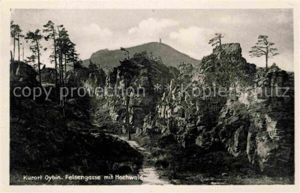 Oybin Felsengasse Hochwald