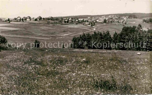 Frauenwald Thueringen Panorama Wiese