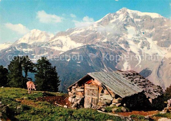 Sulden Solda Königspitze