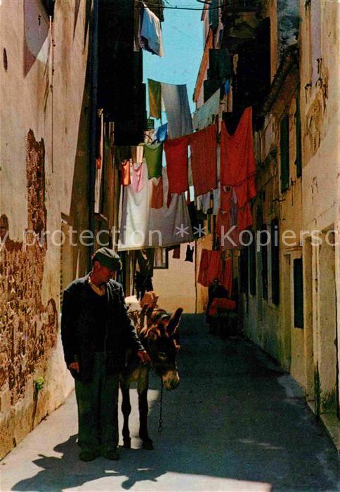 Corfu Korfu Altstadt Esel