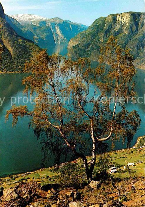 Norwegen Norge Aurlandsfjorden Sogn