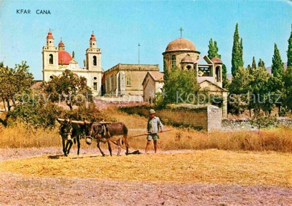 Kfar Kana Maultier Pflug Kirche