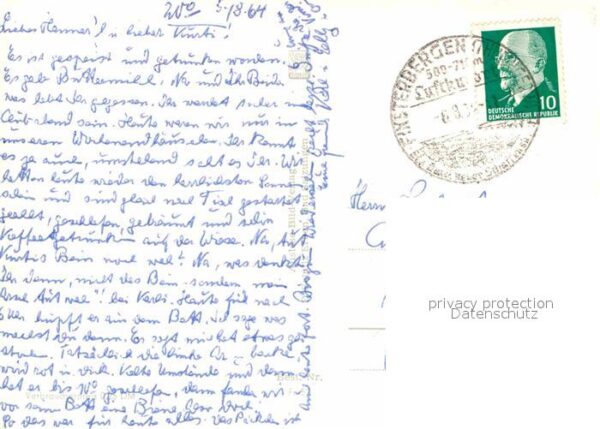 Friedrichroda Heuberghaus Rinderherde – Bild 2