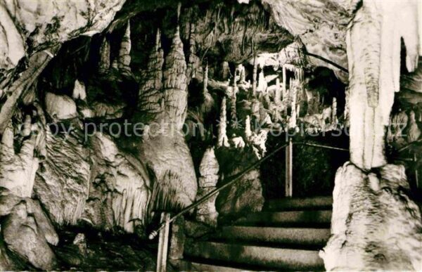 Hoehlen Caves Grottes Rübeland Harz Baumannshöhle Säulenhalle