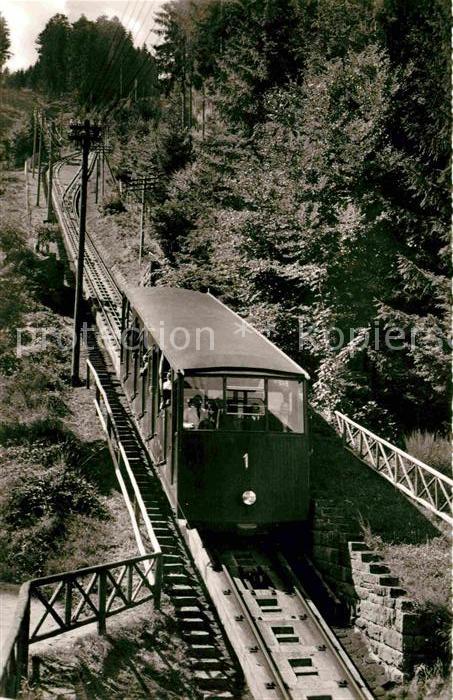 Bergbahn Sommerbergbahn Wildbad Schwarzwald