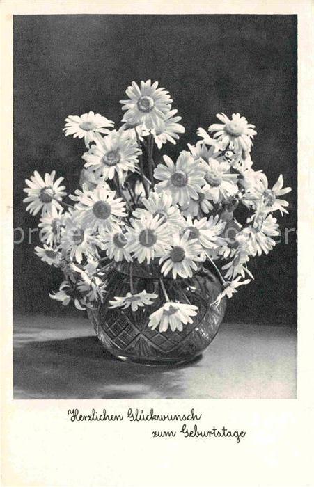 Geburtstag Margeriten Vase
