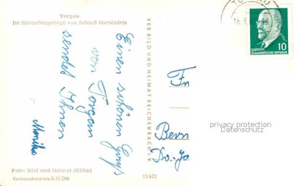 Baeren Torgau Bärenfreigehege Schloss Hartenfe – Bild 2