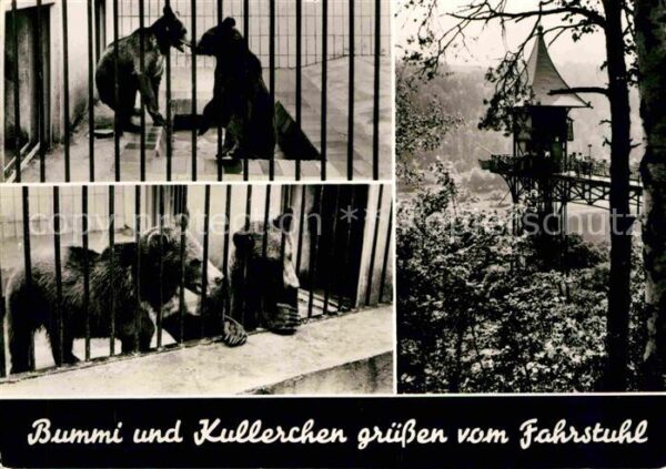 Baeren Bummi und Kullerchen Fahrstuhl Bad Scha