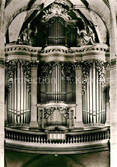 Kirchenorgel Freiberg Sachsen Dom