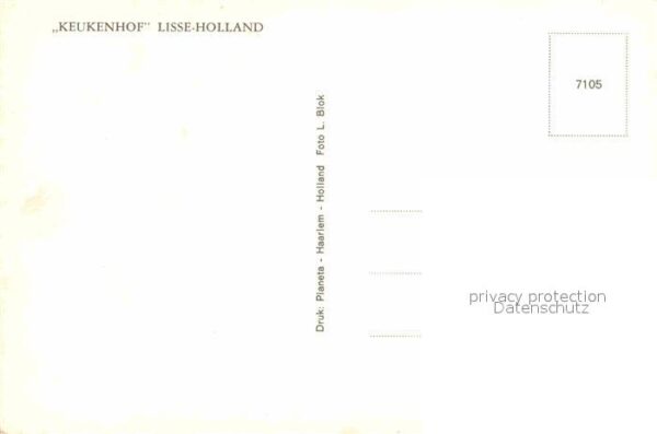 Windmuehle Keukenhof Lisse-Holland – Bild 2