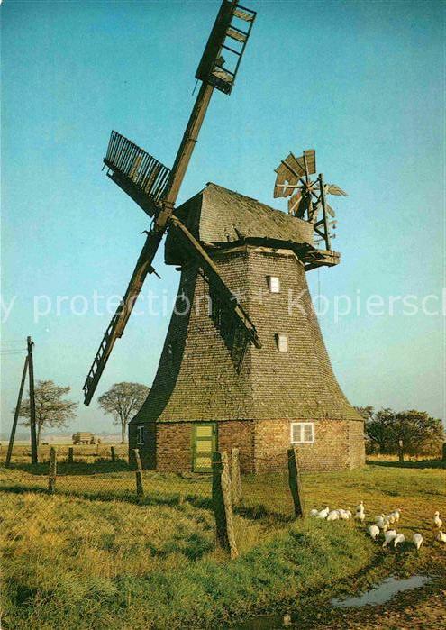 Windmuehle Rovershagen Erdholländermühle