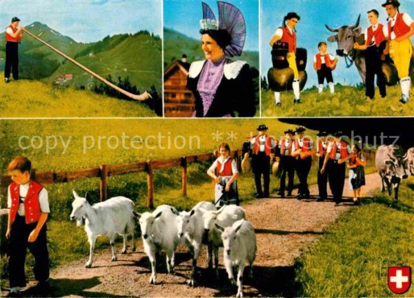 Alphorn Tracht Alpabzug  Ziegen Schweiz