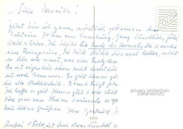 Schafe Hirte – Bild 2