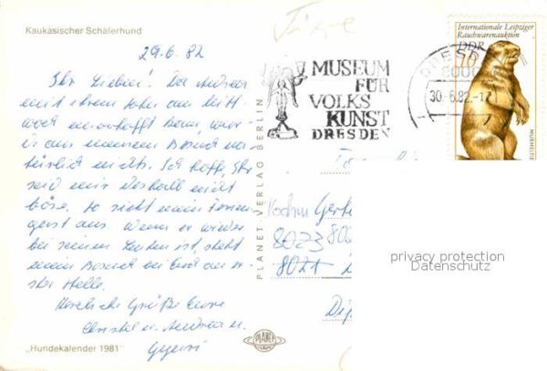 Hunde Kaukasischer Schäferhund – Bild 2
