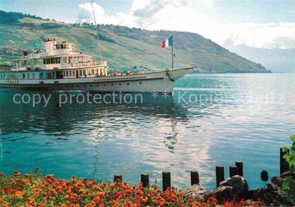 Dampfer Seitenrad Italie Lac Leman