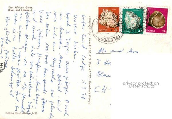 Loewe Lion and Lioness – Bild 2