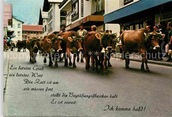 Kuehe Almabtrieb