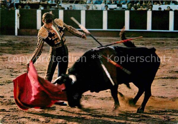 Stierkampf Corrida de Toros Pase con la derecha Ma