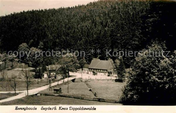 Seyde Zwergbaude