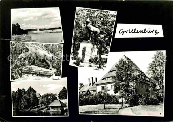 Grillenburg Wildschwein Gondelteich Hirsch Elas Fen