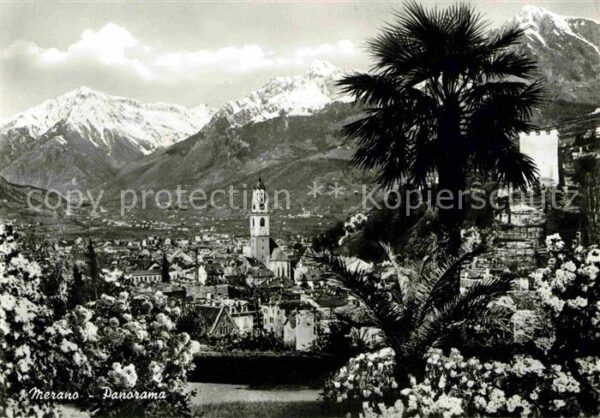 Meran Merano Panorama