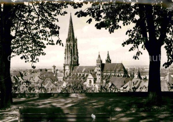 Freiburg Breisgau Münster