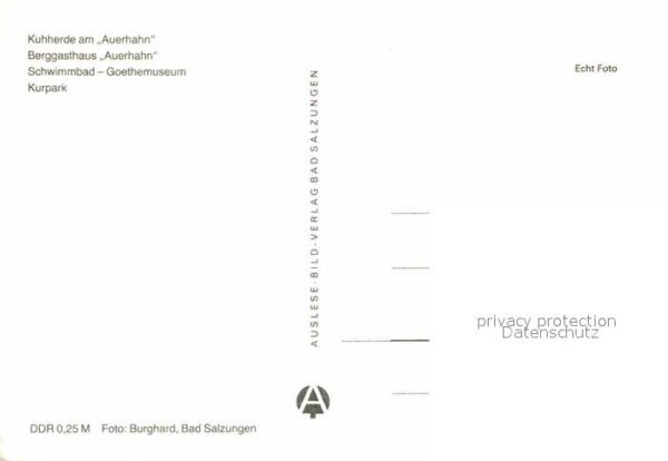 Stuetzerbach Auerhahn Berggasthaus Schwimmbad – Bild 2
