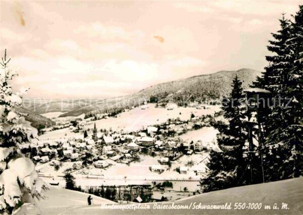 Baiersbronn Schwarzwald Panorama