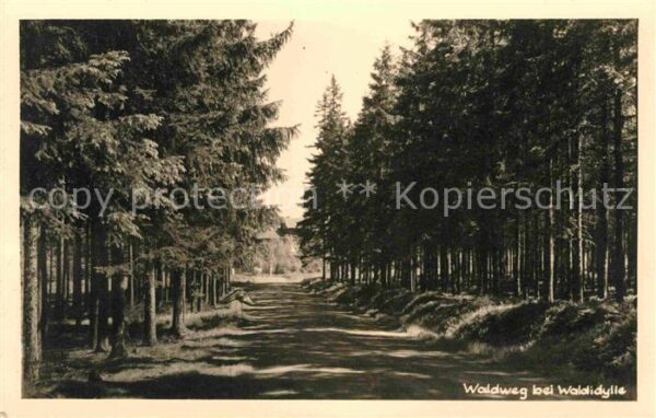 Waldidylle Waldweg