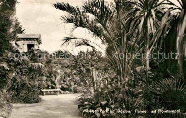 Woerlitz Park mit Palmen bei Dessau