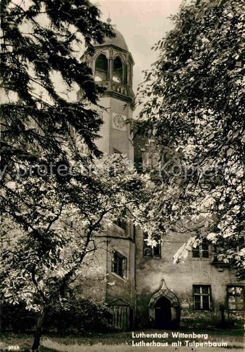 Wittenberg Lutherstadt Lutherhaus