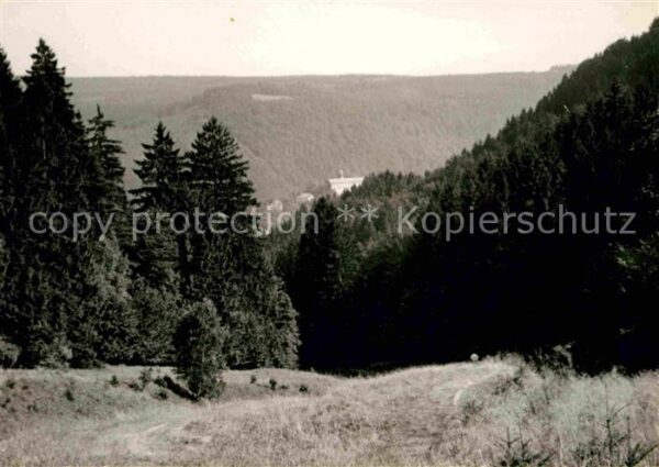 Schwarzburg Thueringer Wald Flaschenwiese mit Schloß
