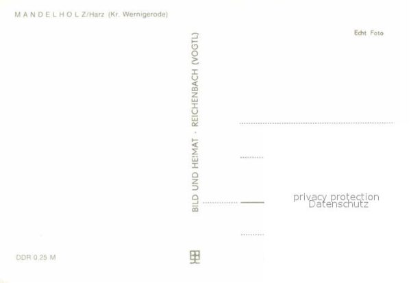 Mandelholz Harz – Bild 2