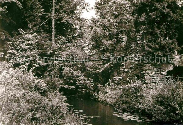 Woerlitz Kettenbrücke im Park
