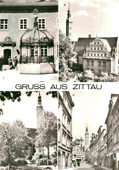 Zittau Grüner Baum Stadtmuseum