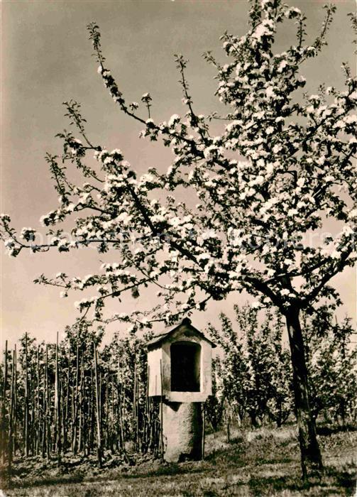 Ueberlingen Bodensee Bildstock am Weinberg